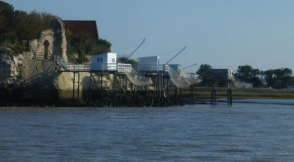 Séjour de rêve en camping 4 étoiles en Gironde