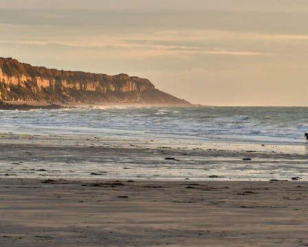 Les options de camping en Normandie, offrant un accès direct à la plage pour des séjours reposants